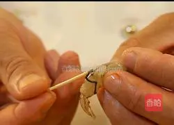 Aloe Vera Shrimp Recipe Illustration 2