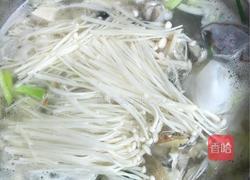 鲫鱼豆腐汤的做法图解7