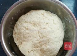 新疆窝窝馕(烤箱版)的做法图解3