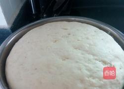 新疆窝窝馕(烤箱版)的做法图解4