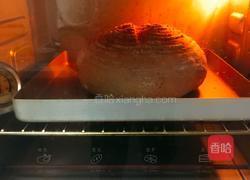 芝麻核桃黑麦包的做法图解22