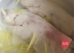 莲藕猪脚的做法图解3