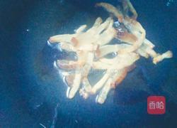 炒芽菜的做法图解4