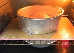 海苔芝麻肉松全麦包的做法图解12