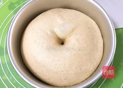 海苔芝麻肉松全麦包的做法图解13