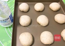 海苔芝麻肉松全麦包的做法图解20