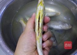 香煎黄花鱼的做法图解3
