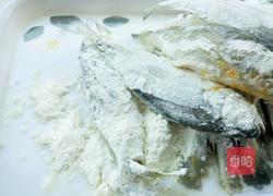 香煎黄花鱼的做法图解8