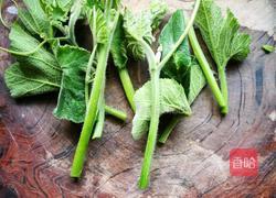 凉拌南瓜尖的做法图解1