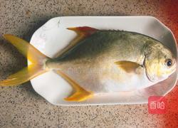 红烧金鲳鱼的做法图解1