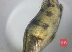 家常清蒸鳜鱼的做法图解1