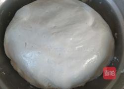 空心大麻团的做法图解3