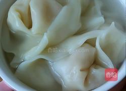 冬瓜虾仁鲜肉馄饨的做法图解3