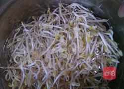 发绿豆芽的做法图解8