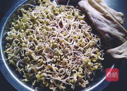 发绿豆芽的做法图解5