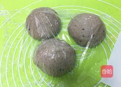黑麦芝麻核桃吐司的做法图解18