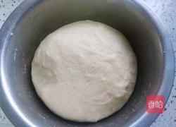 豹纹吐司的做法图解7