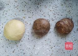 豹纹吐司的做法图解9