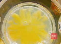 菠萝酵素的做法图解5