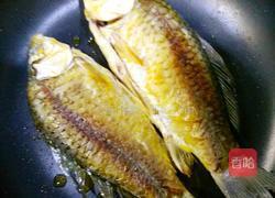 鲫鱼豆腐汤的做法图解3