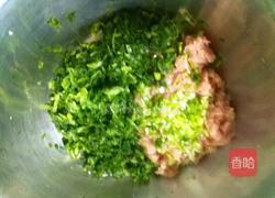 小白菜肉馄饨的做法图解14