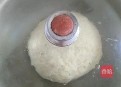 千层烤饼（发面）的做法图解4