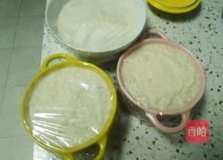 豆腐慕斯(减脂)的做法图解9