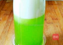 蜂蜜苦瓜冰棍的做法图解7