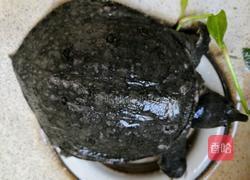 清蒸野生甲鱼的做法图解1