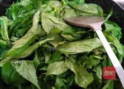 Illustration of how to make fried sesame leaves with Puning bean paste 4