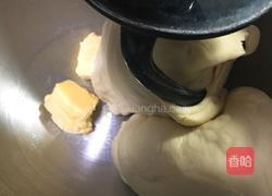 可颂牛角包的做法图解9