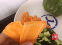 Illustration of how to make Kung Pao Chicken 3