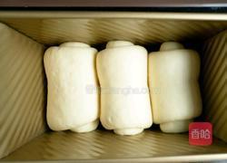 奶香波兰种全麦吐司的做法图解25