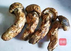 鲜松茸鸡汤的做法图解7