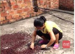 菇稔酒的做法图解2