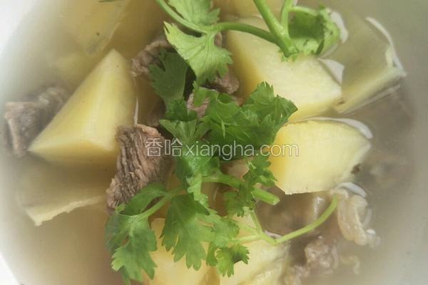 土豆牛肉汤