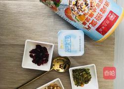 低卡酸奶燕麦冰激凌的做法图解1