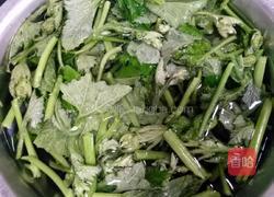 清炒南瓜尖的做法图解2