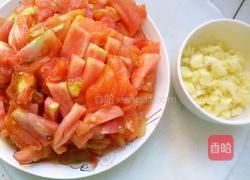 番茄肉酱的做法图解3