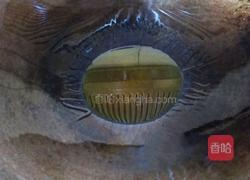 双椒土豆丝的做法图解7