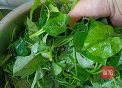 清炒苕尖的做法图解1