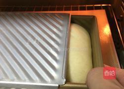 早晨快餐吐司片的做法图解14