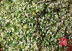 韭菜花糟辣椒的做法图解2