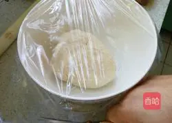 Extreme Nutritional Pizza Recipe Illustration 5