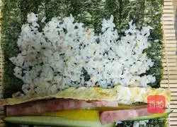 Illustration of how to make sushi 5