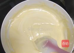 手工轻乳酪蛋糕的做法图解16