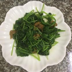 蒜香萝卜苗的做法[图]