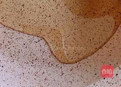 酱汁虾的做法图解6