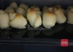 蜂蜜脆底小面包(详细步骤一次成功)的做法图解18