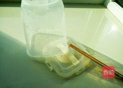 面包机酸奶的做法图解3